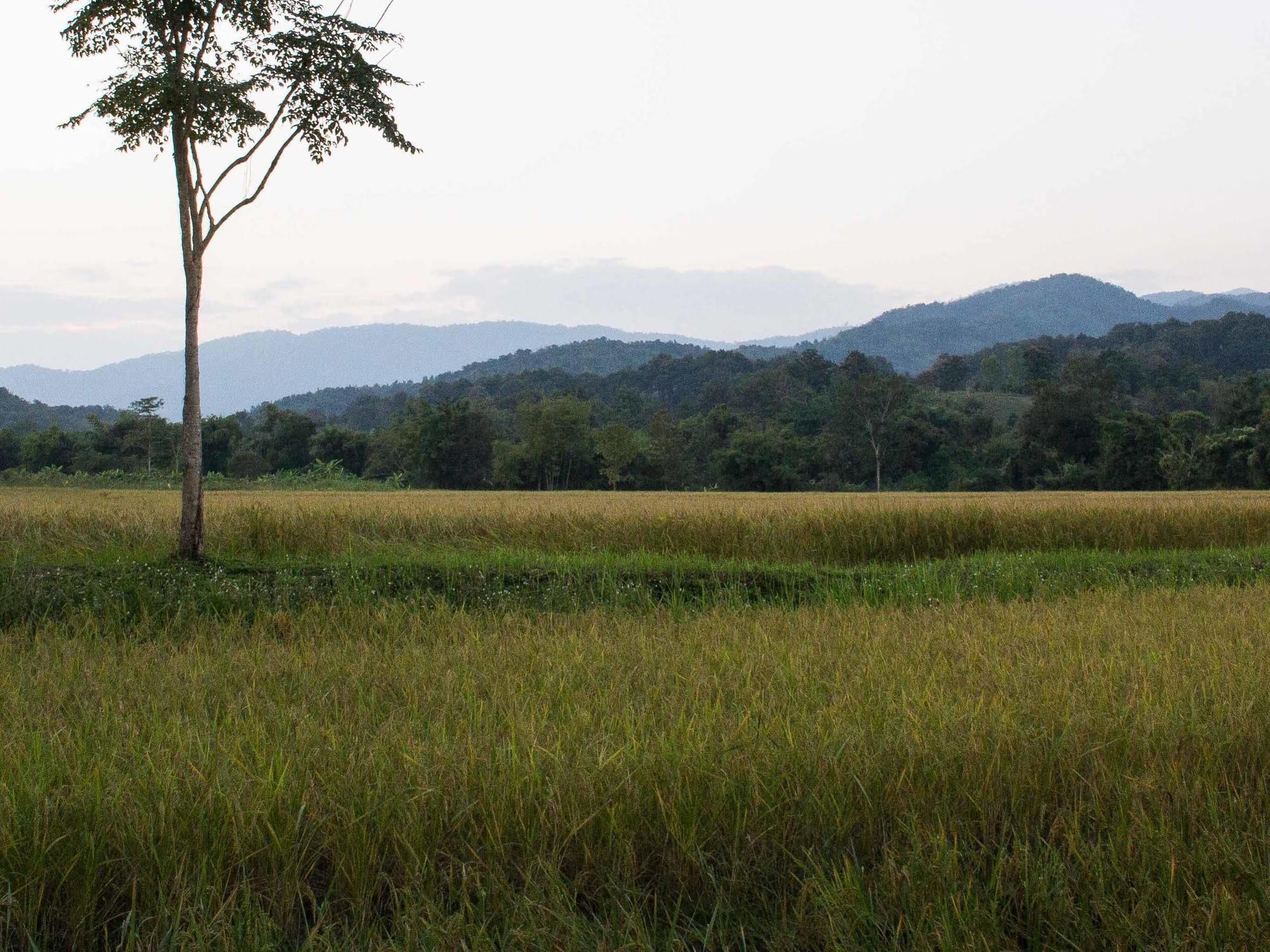 Bambuh Boutique Homestay (Adults Only) Chiang Rai Exterior foto